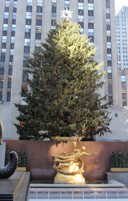 Christmas Tree at Rockefeller Center