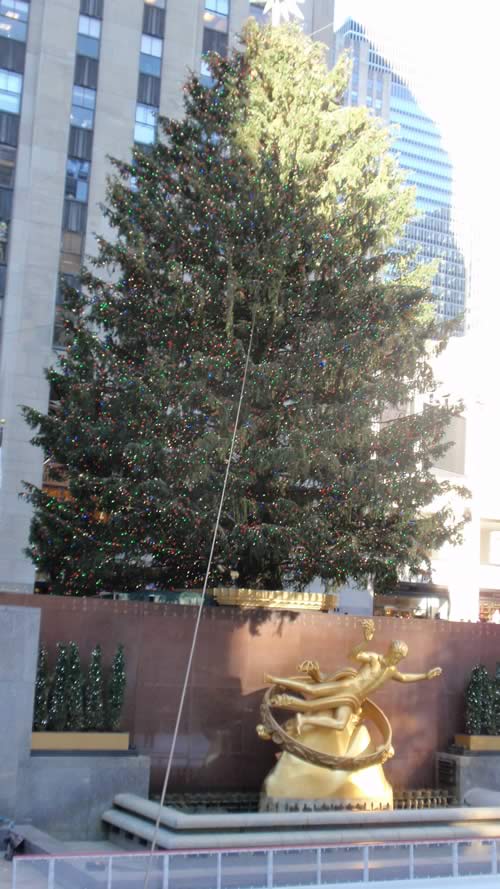 Christmas Tree at Rockefeller Center