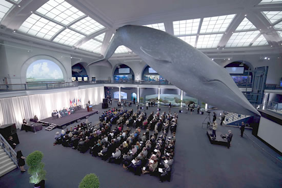 Blue Whale watches as degrees are conferred 