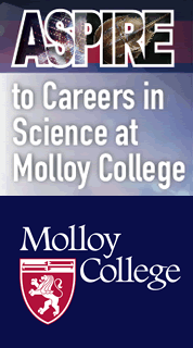 https://www.molloy.edu/